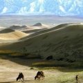 vast Mongolia Steppe